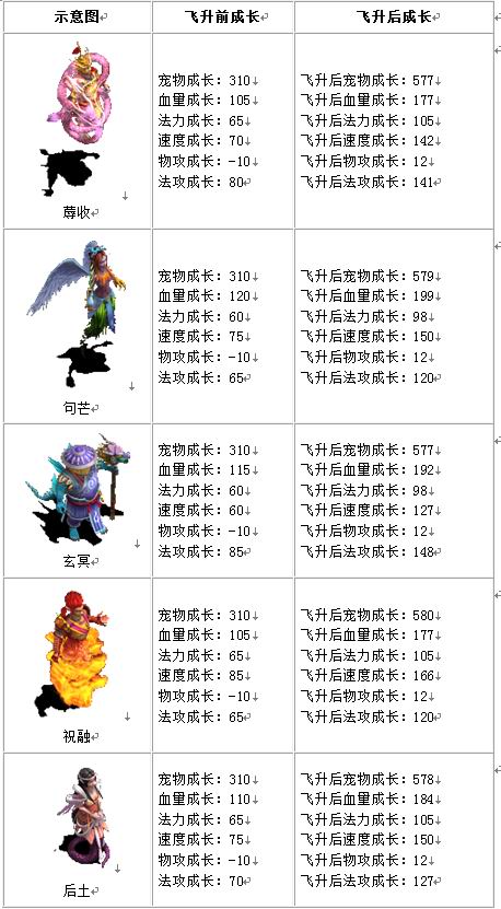 宠物成长