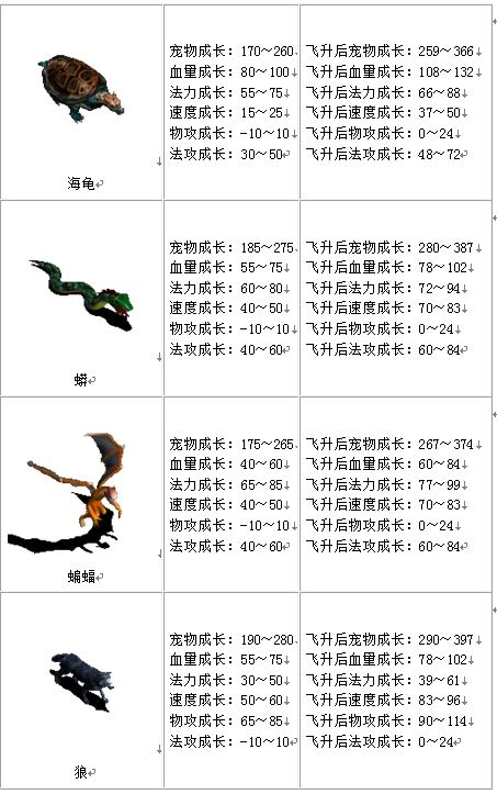 宠物成长