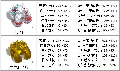 宠物成长